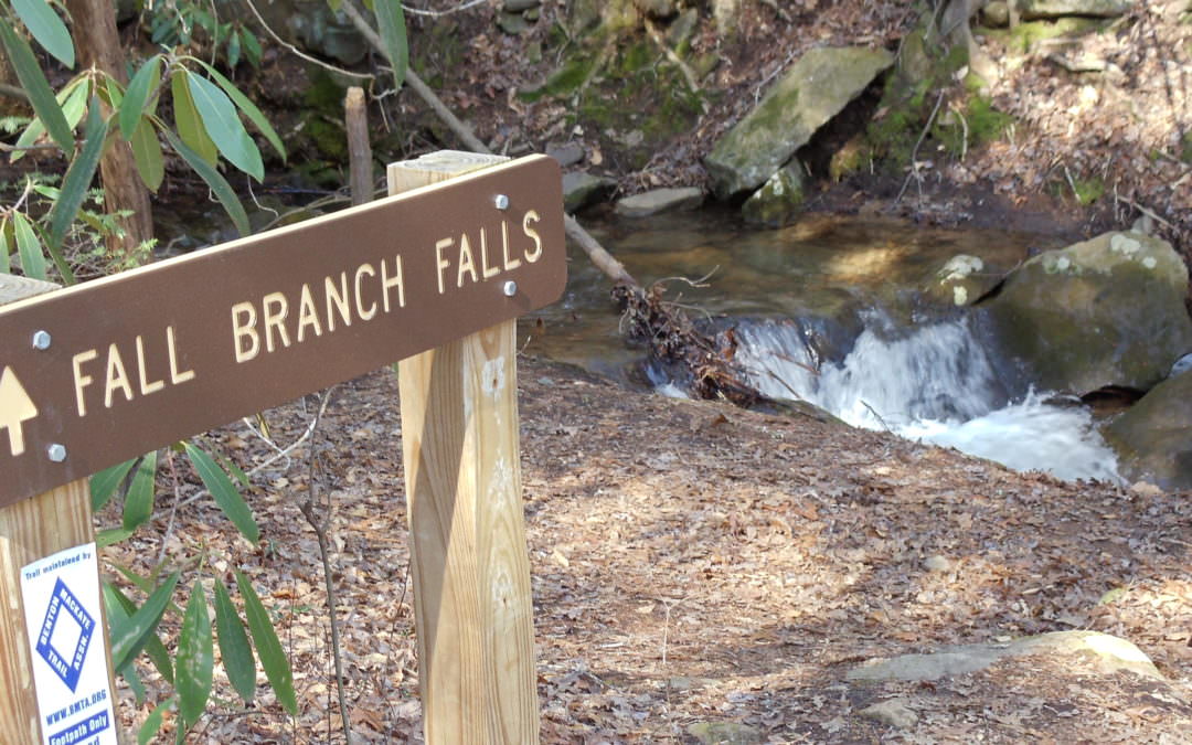 Fall Branch Falls